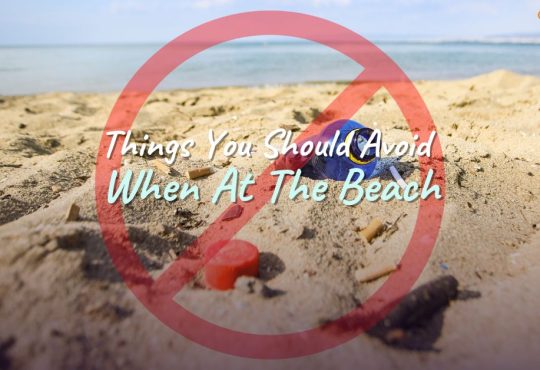 8 Things You Should Avoid When At The Beach